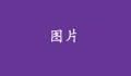 沒(méi)有標(biāo)題的話，就不會(huì)顯示